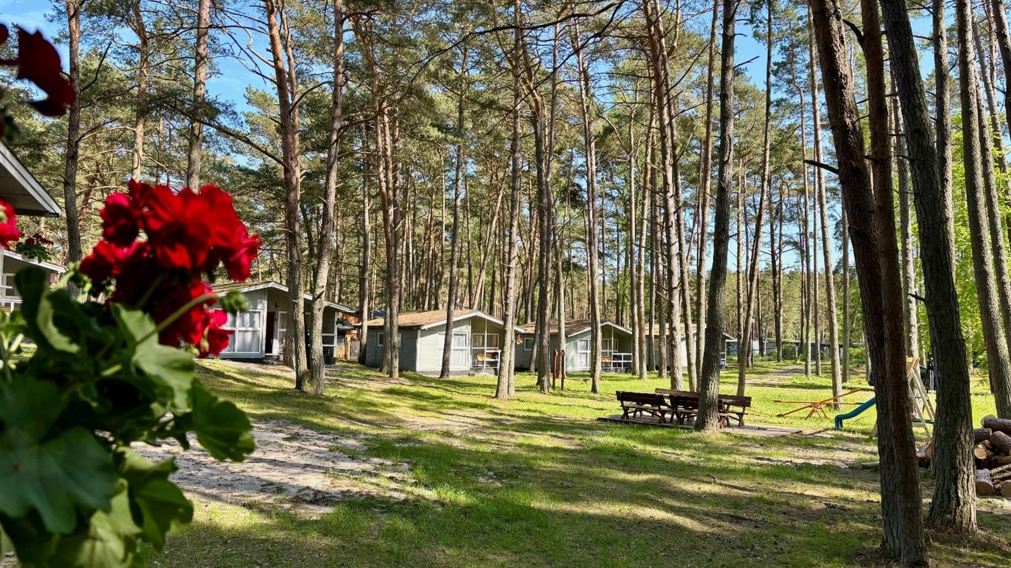 Vila Lesna Przystan Pobierowo Exteriér fotografie